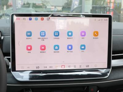 Volkswagen Sagitar Details (3)