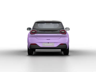 Dongfeng Nammi 01 Details (5)