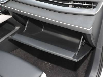 Volkswagen Sagitar Details (7)