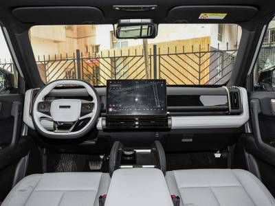 Chery Fulwin X3 Plus Details (1)