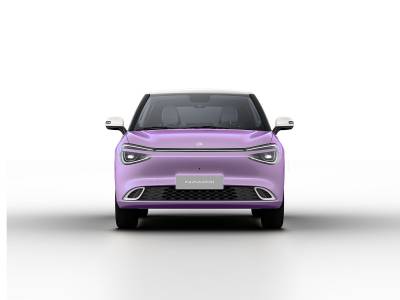 Dongfeng Nammi 01 Details (2)
