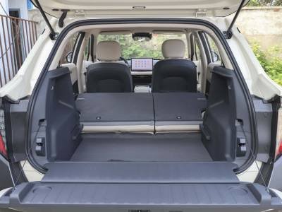 Dongfeng Nammi 06 Details (4)