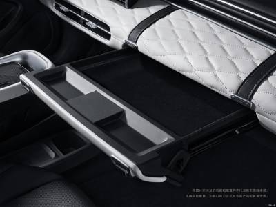 Dongfeng Nammi 01 Details (16)