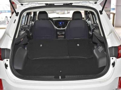 FAW Senia Details (12)