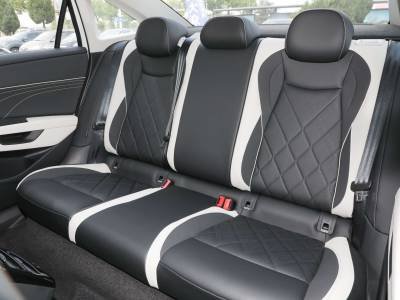 Volkswagen Sagitar Details (5)