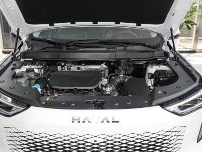 Haval Xiaolong Max Auto Details (1)