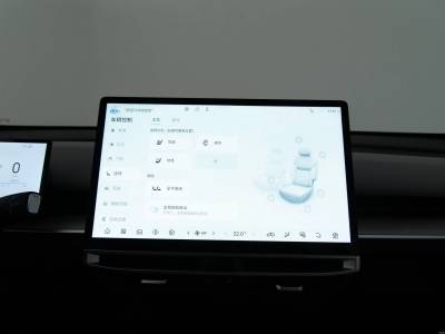 Venucia VX6 Details (7)