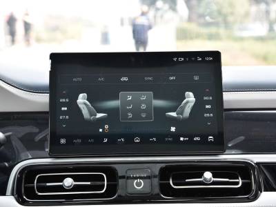 Beijing BJ60 Details (8)