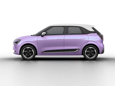 Dongfeng Nammi 01 Details (3)