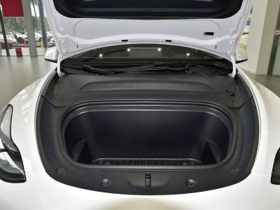 Tesla Model Y Auto Details (1)