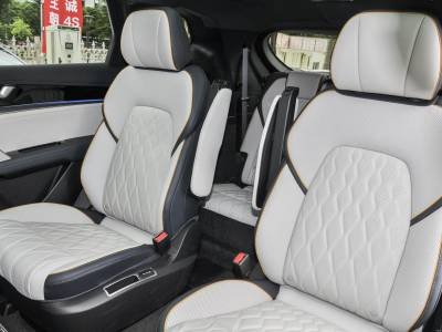 tan ev details (3)