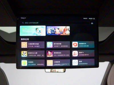 Denza N8L Details (1)