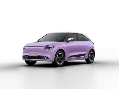 Dongfeng Nammi 01 Details (1)