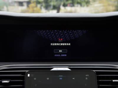 Hongqi E-HS9 Details (12)