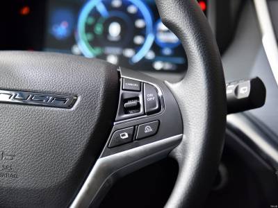 Venucia T60EV Details (1)