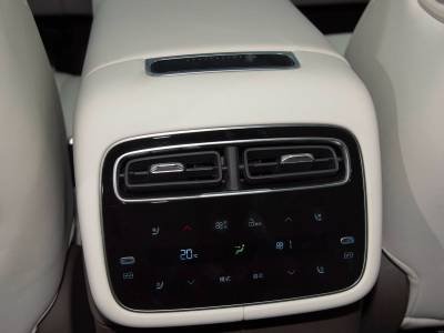 Denza N8L Details (13)