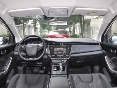 Venucia D60EV Details (10)