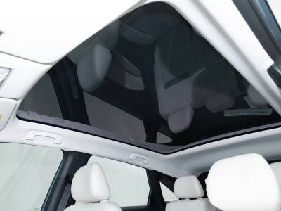 Venucia VX6 Details (16)