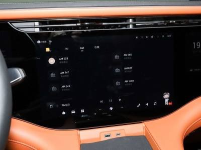 Exeed VX C-DM Details (3)