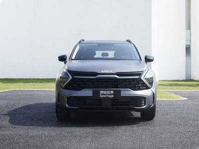 Kia Sportage Details (3)