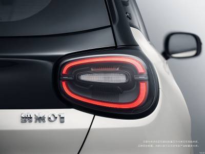 Dongfeng Nammi 01 Details (12)