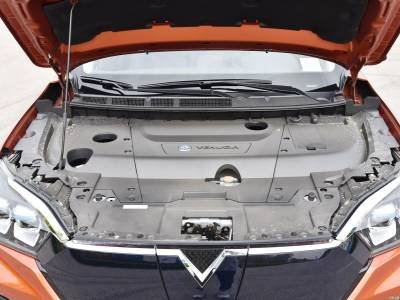 Venucia T60EV Auto Details (1)