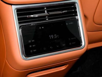 Stelato S9T Details (9)