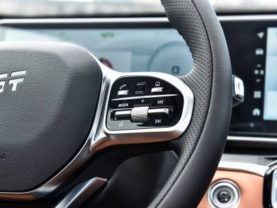 Jetour ShanHai L7 Details (2)