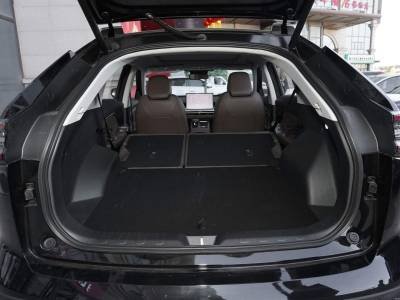 GAC Trumpchi GS4 Details (3)