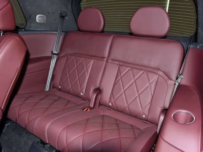 Voyah Titan Details (2)