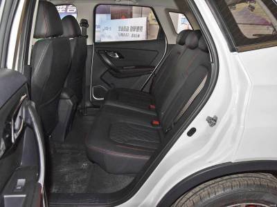 FAW Senia Details (8)