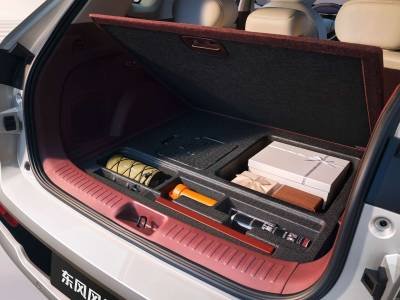 Dongfeng Aeolus L8 Details (2)