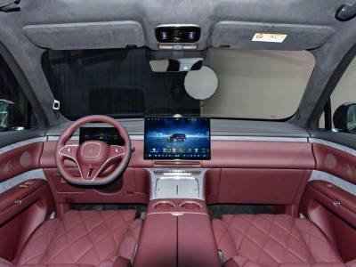 Voyah Titan Details (7)