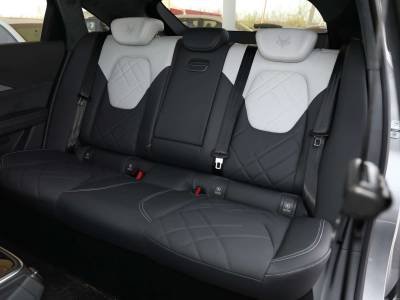 Arcfox αS6 Подробности (9)