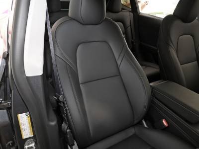 Tesla Model Y Details (2)