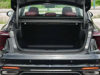 Hongqi H5 Details (5)