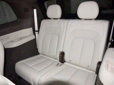 Denza N8L Details (14)