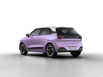 Dongfeng Nammi 01 Details (4)