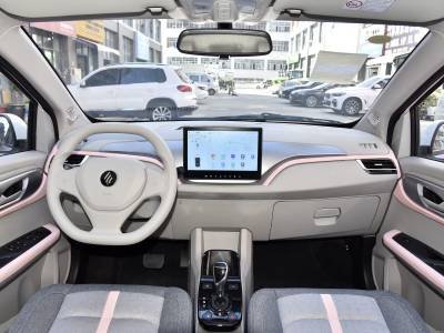 JMEV EV3 Details (3)