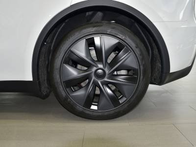Tesla Model Y Auto Details (2)
