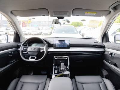 Wuling ASTA Details (16)
