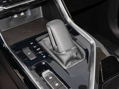 Wuling ASTA Details (13)