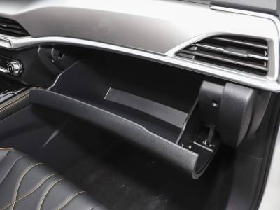 Bestune T77 Details (1)