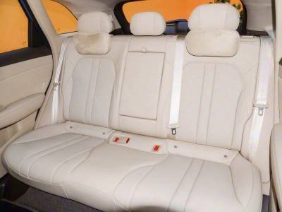 SAIC H5 Details (11)