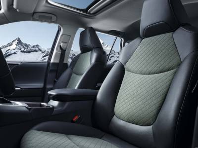 Toyota RAV4 Details (15)
