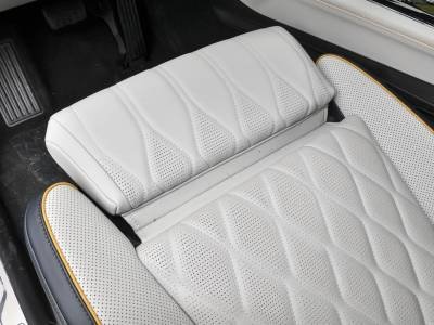 tan ev details (1)