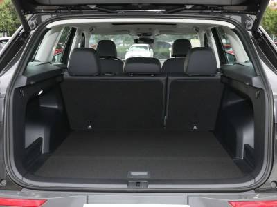 Volkswafeb Tavendor Details (11)