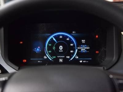 Venucia T60EV Details (2)