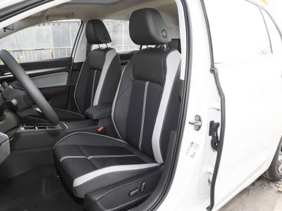 Volkswagen Golf Details (4)