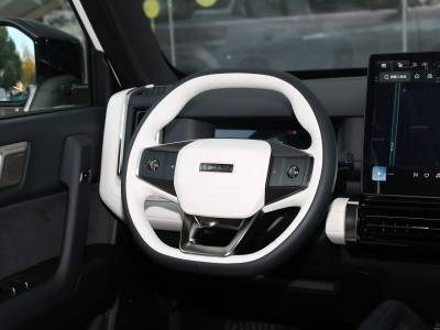 iCAR 03T Details (5)